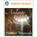 Didier Merah『Andante』ブログパーツ