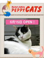 PEPPY CATS ブログパーツ