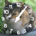 猫時計ブログパーツ