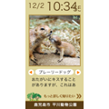 平川動物公園ブログパーツ