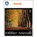 Didier Merah 『Harvest』 ブログパーツ